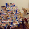 Are You Hoarding Twinkies To Make Easy Money?